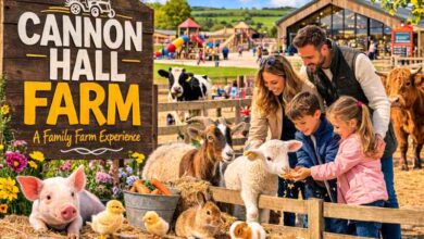 Cannon Hall Farm