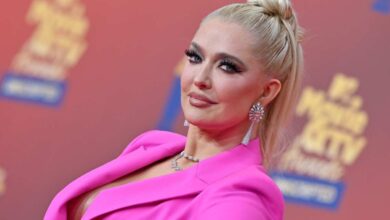 Erika Jayne Net Worth